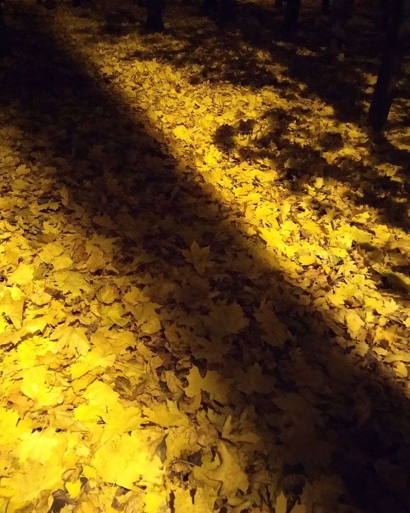 Photograph by Людмила М