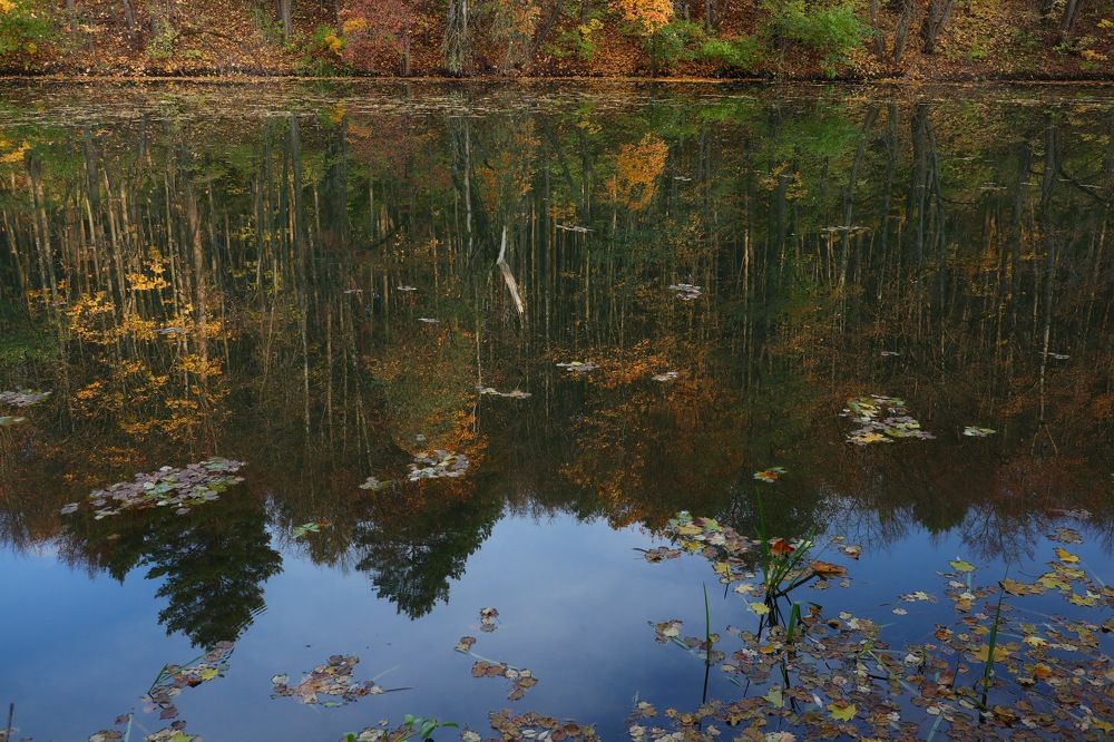 Photograph by Елена Ивкина