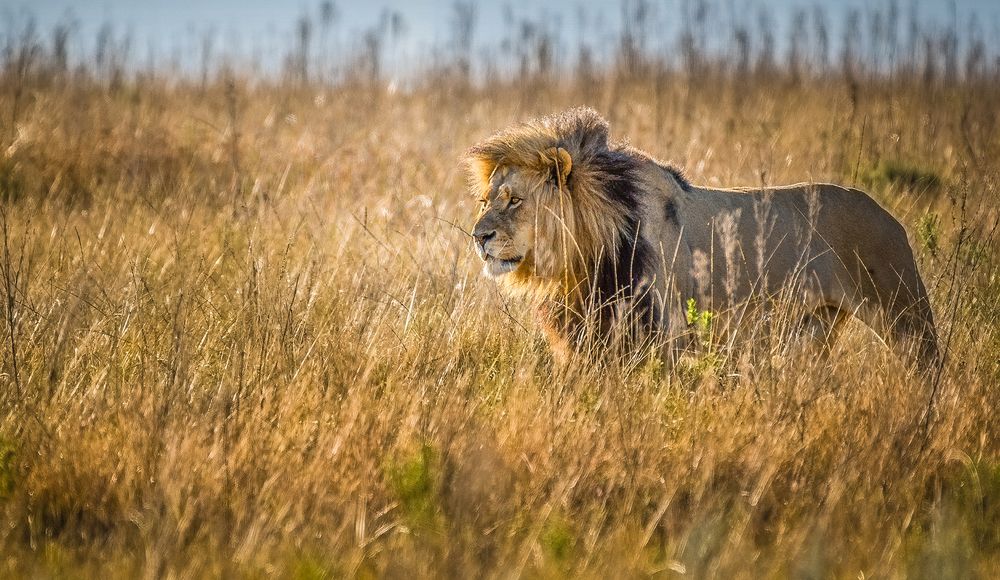 Photograph by Rana Jabeen Nawab