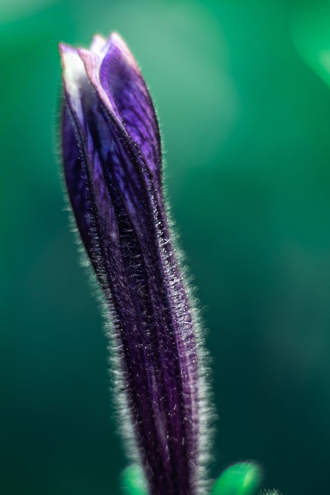 Фотография автора Ольга Матусевич