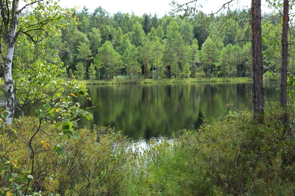 Photograph by Елена Ивкина