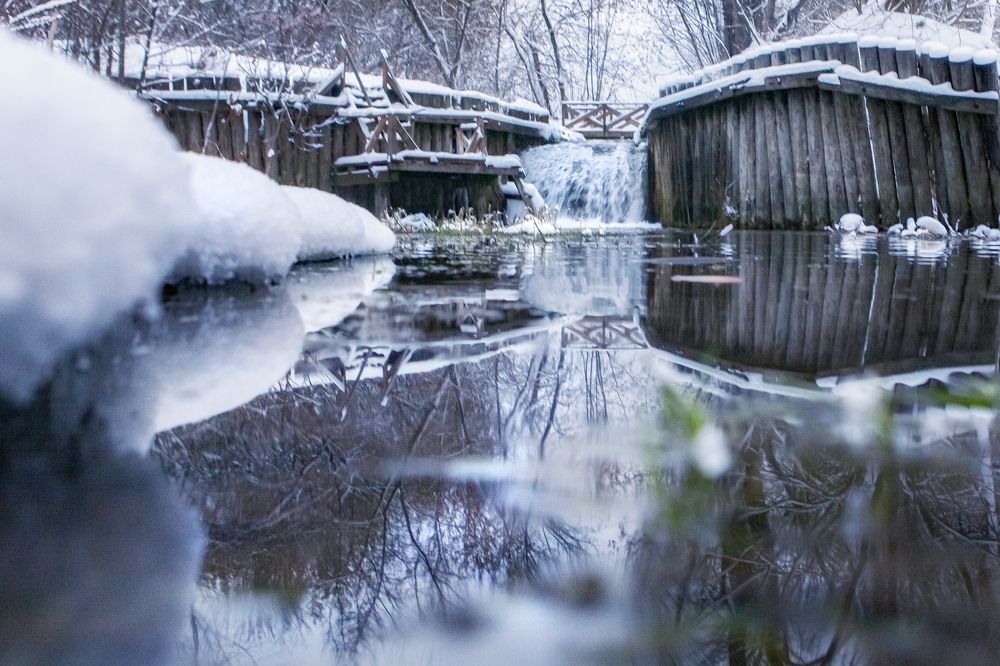 Photograph by Elvira Maksimova