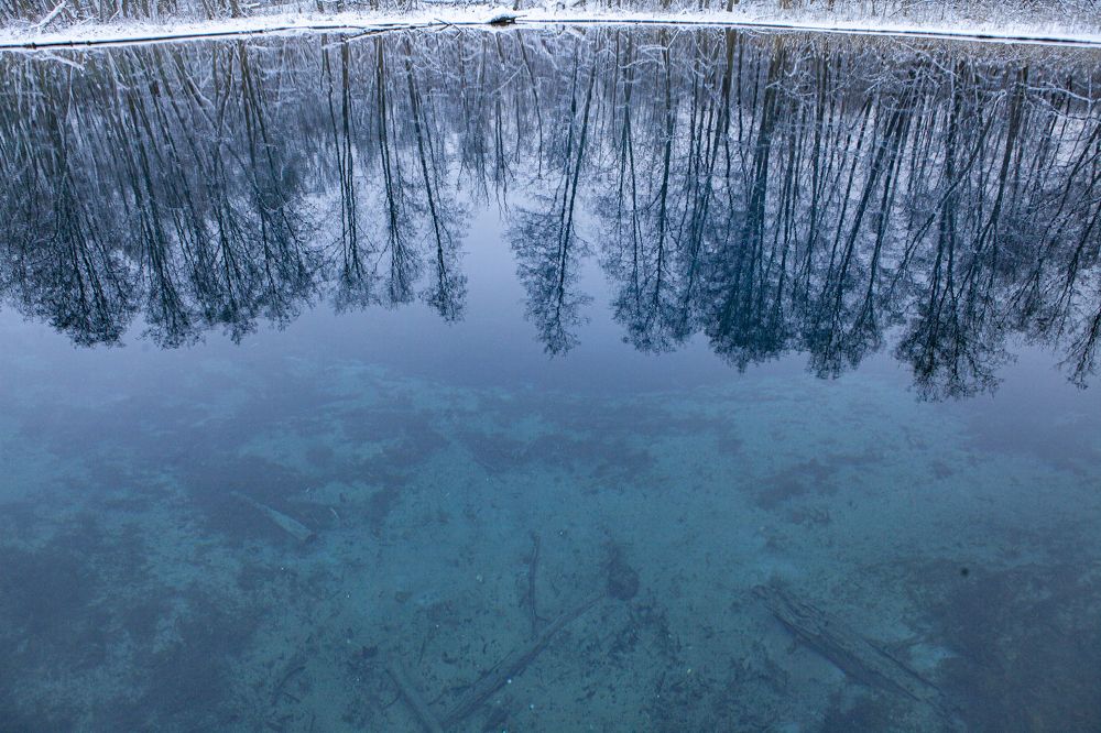 Photograph by Elvira Maksimova