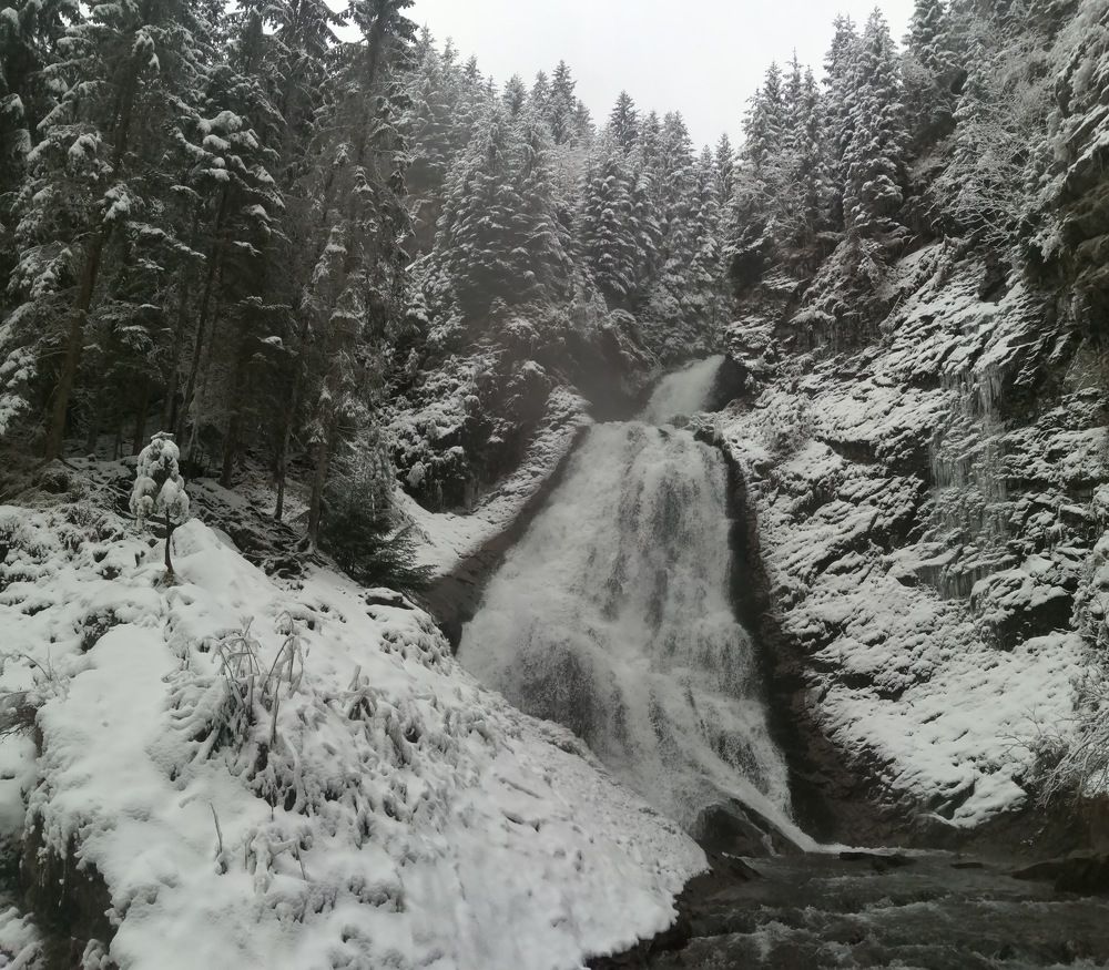 Photograph by Mila Gaziuc