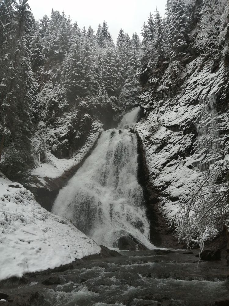 Photograph by Mila Gaziuc