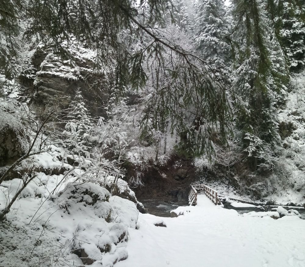 Photograph by Mila Gaziuc