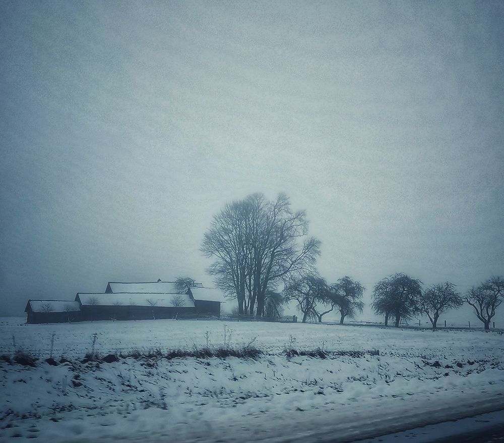 Фотография автора Ольга Матусевич