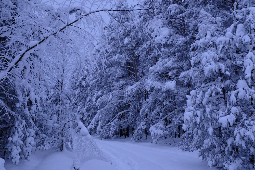 Photograph by Семен Батов