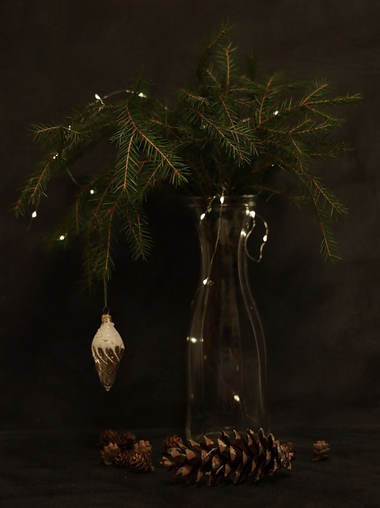 льдинка (icicle)