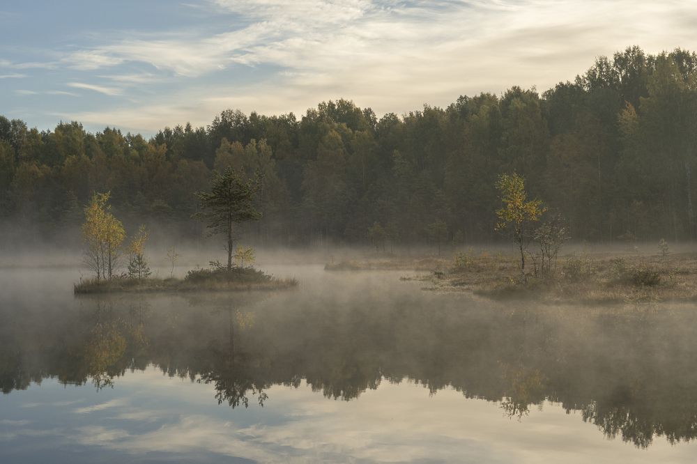 Photograph by Светлана Давыдова