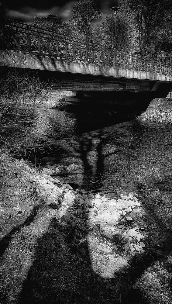 Photograph by Юлия Шмидт