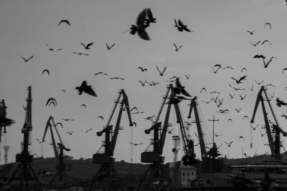 Photograph by Евгения Кузьмичева