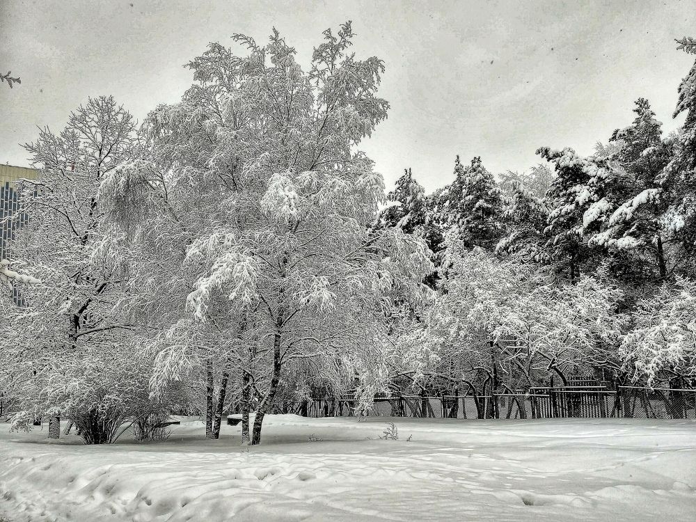 Photograph by Ирина Шилина