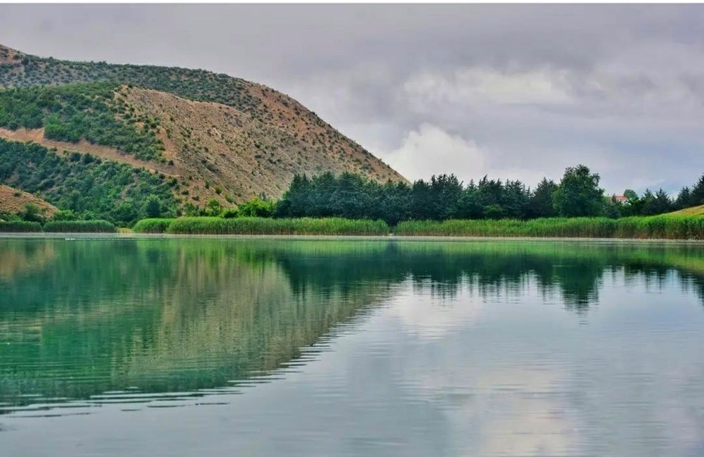 Photograph by Amin Golestanipour