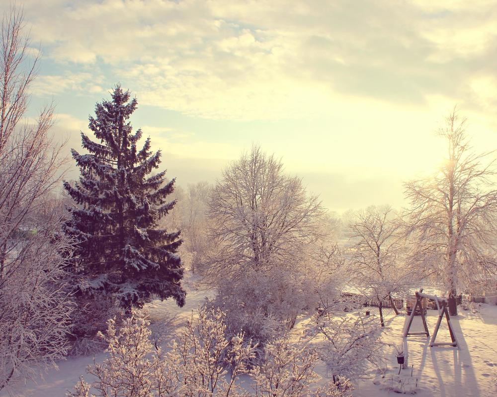 Photograph by Ольга Антанавичене