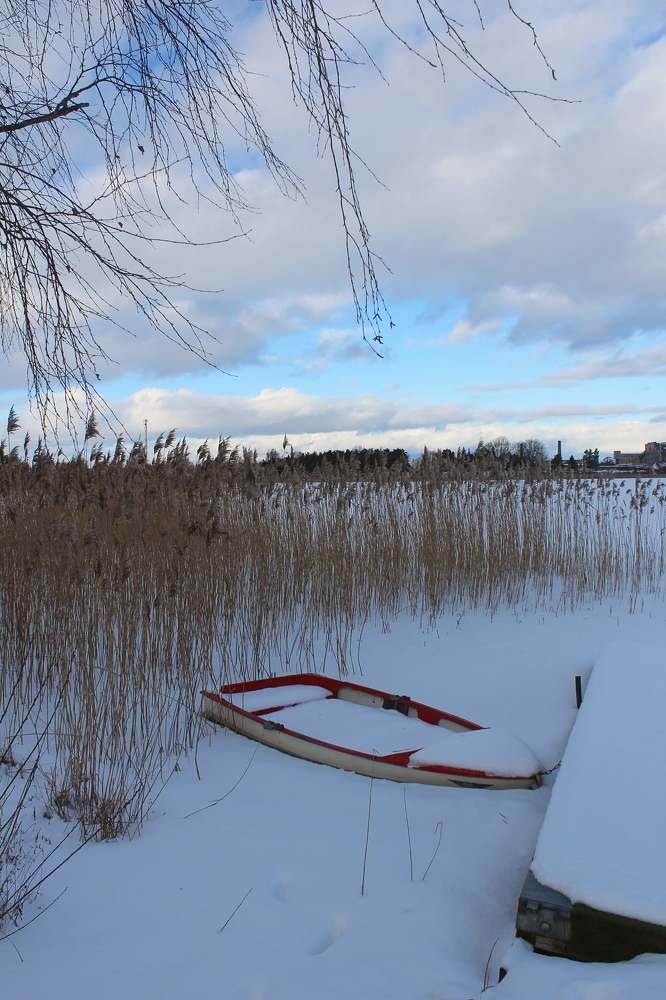 Photograph by Ольга Антанавичене
