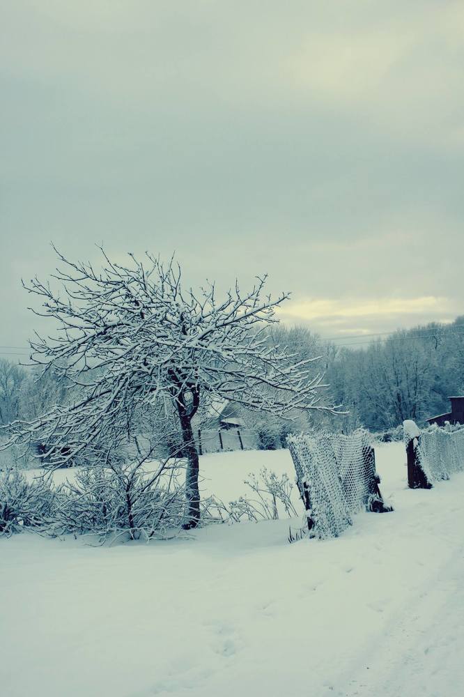 Photograph by Ольга Антанавичене