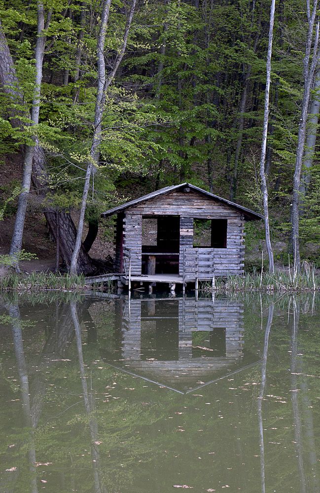 Photograph by Лилия Потравнова