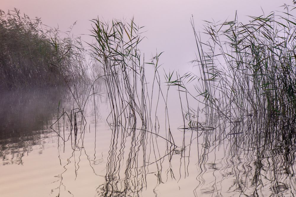 Photograph by Светлана Давыдова