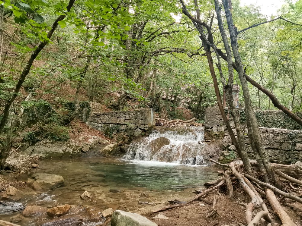 Photograph by Дмитрий Вальков