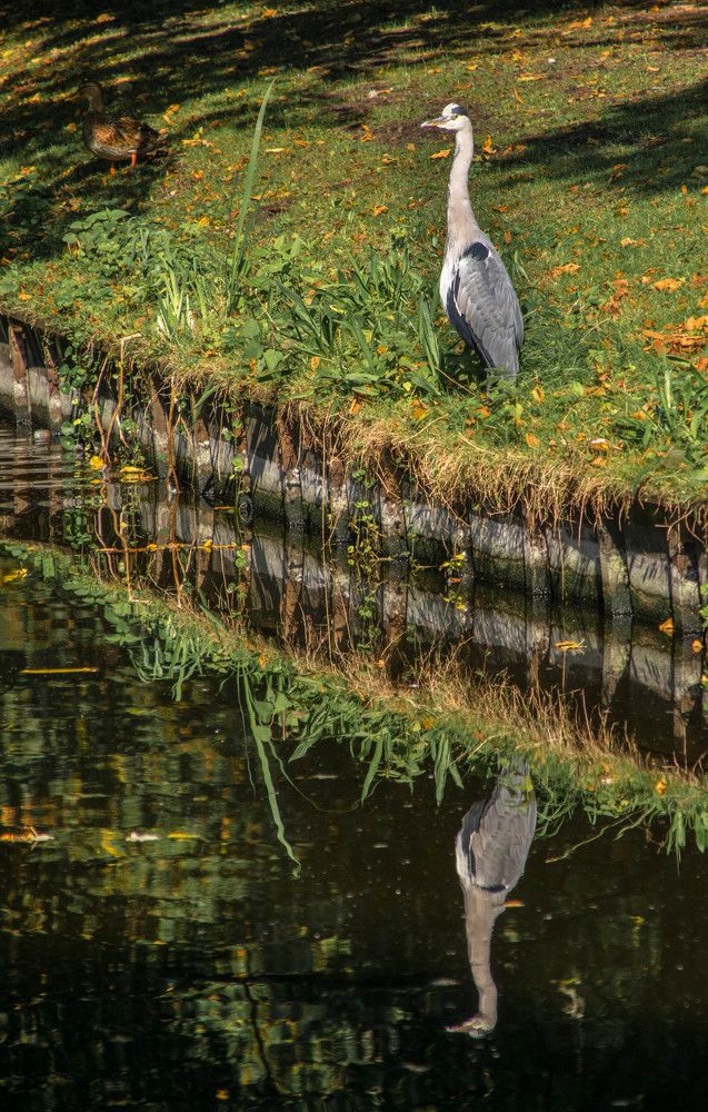 Photograph by Vitalii Kaznin
