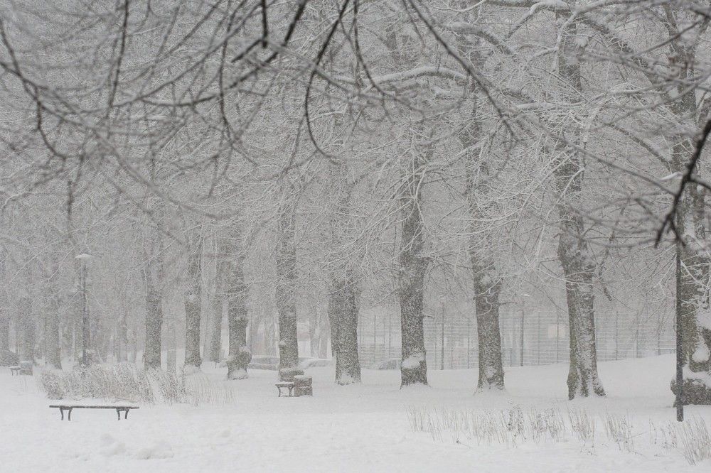 Фотография автора Andrzej