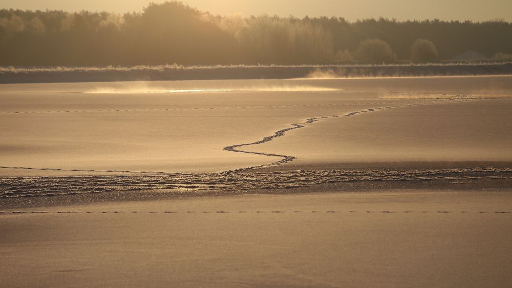 Фотография автора Andrzej