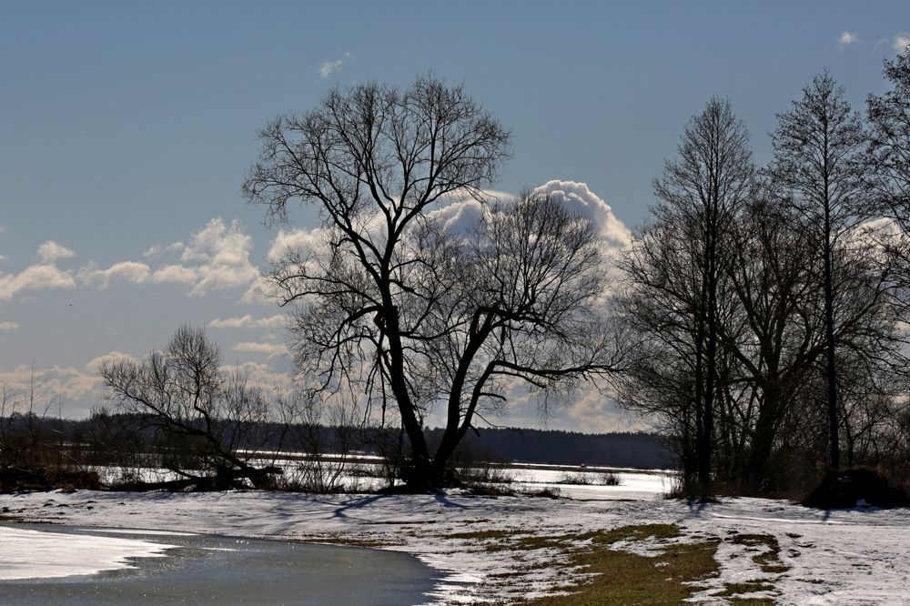 Фотография автора Andrzej