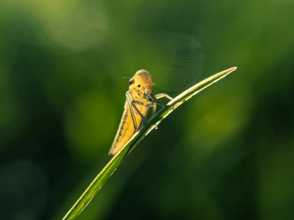 Photograph by Павло Юрасюк