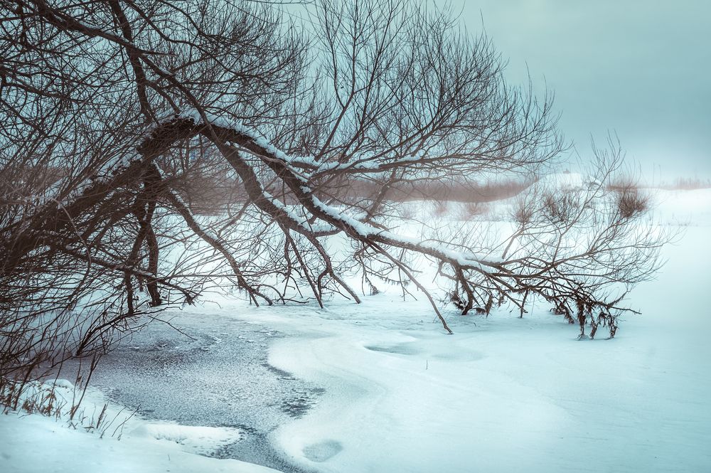 Photograph by Сивенок Елена