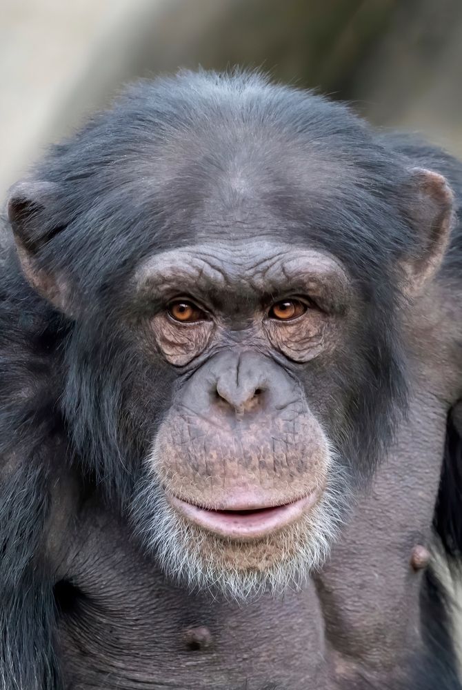 Photograph by Juergen Buechel