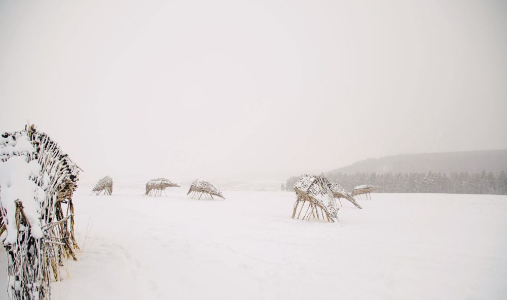 Photograph by Анастасия Тетерина