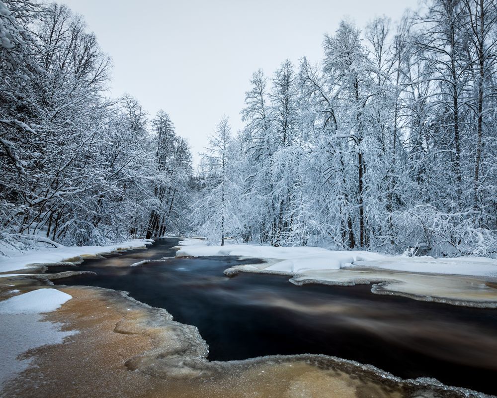 Фотография автора Дмитрий Дроздов