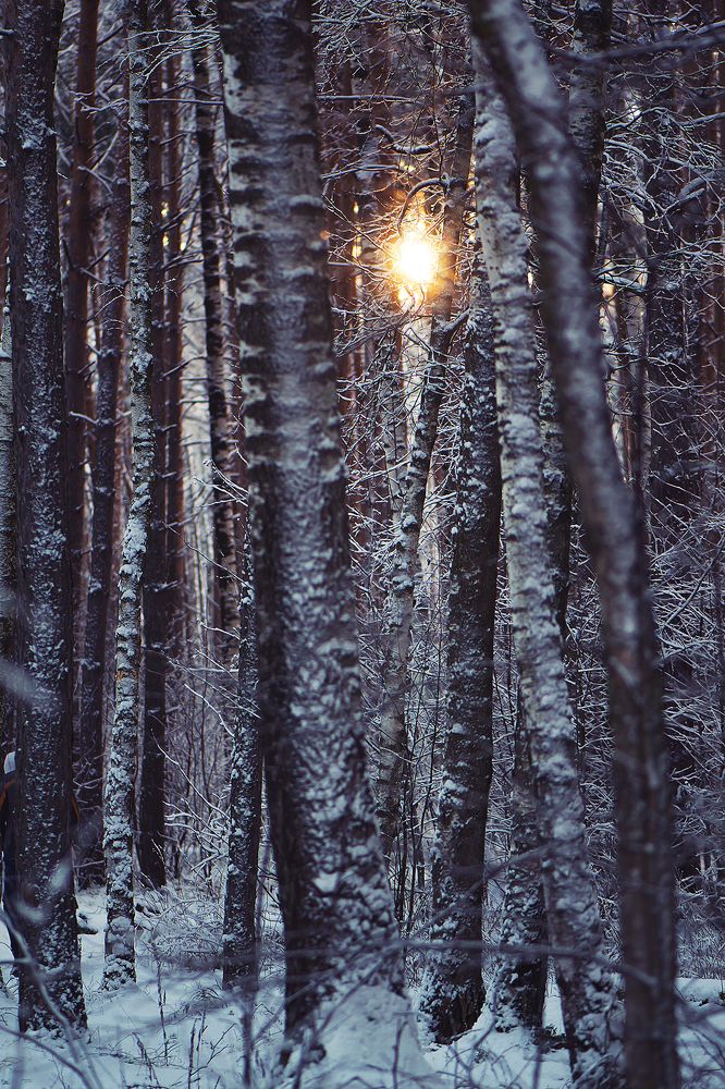 Photograph by Marina Baccardi