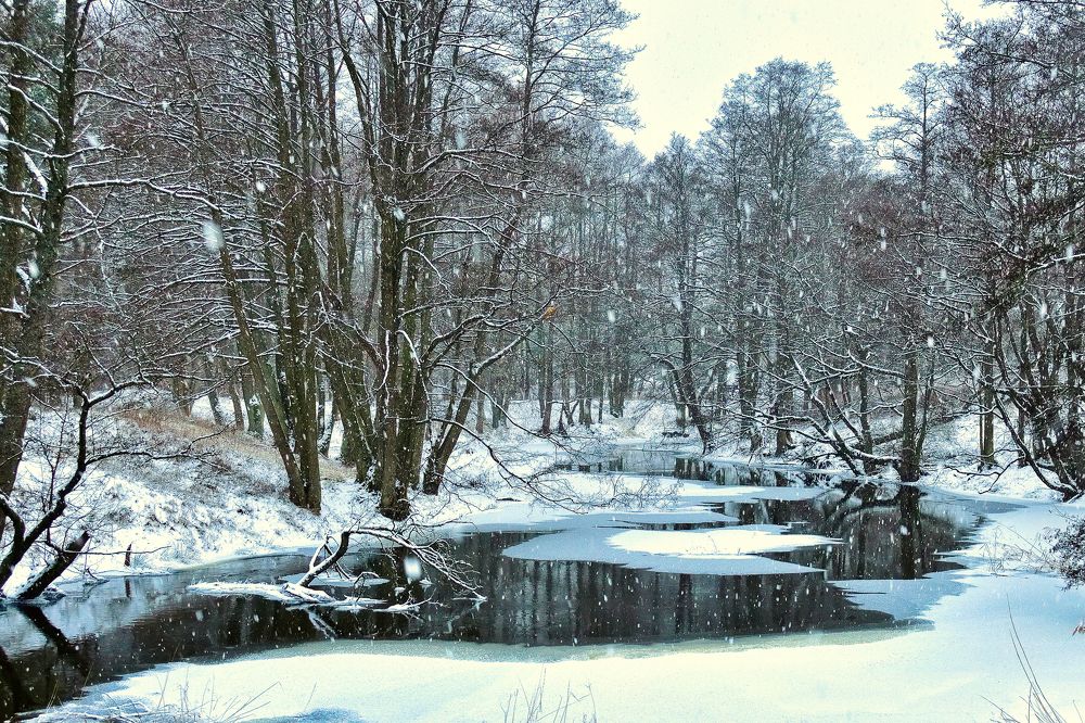 Photograph by Jānis Sērdienis