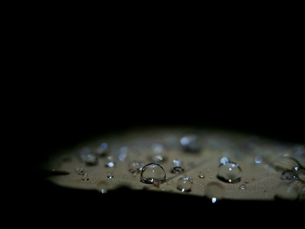 Photograph by Michal Ziemski