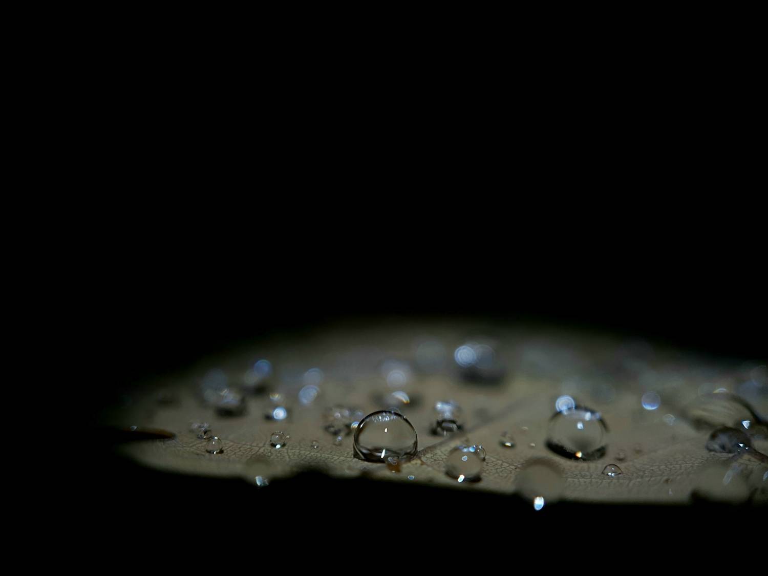 Photo #6988632
