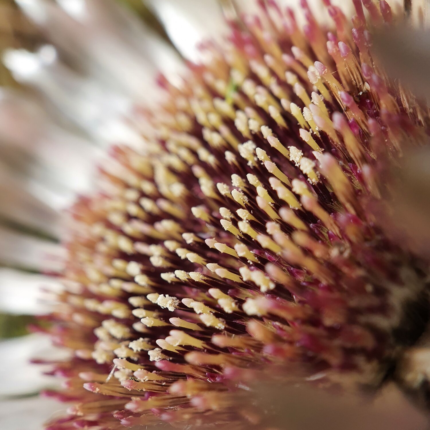 Photo #6988635