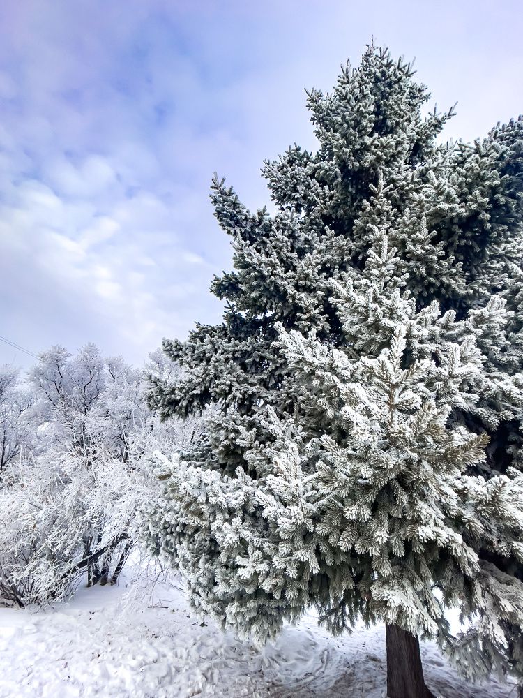 Photograph by Анна Белка