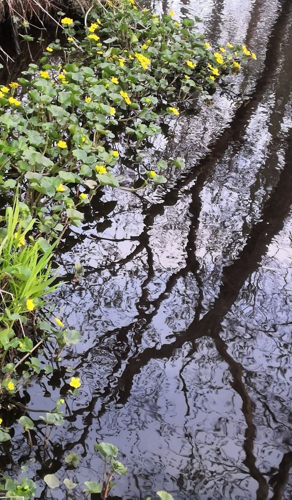 Photo #6988695