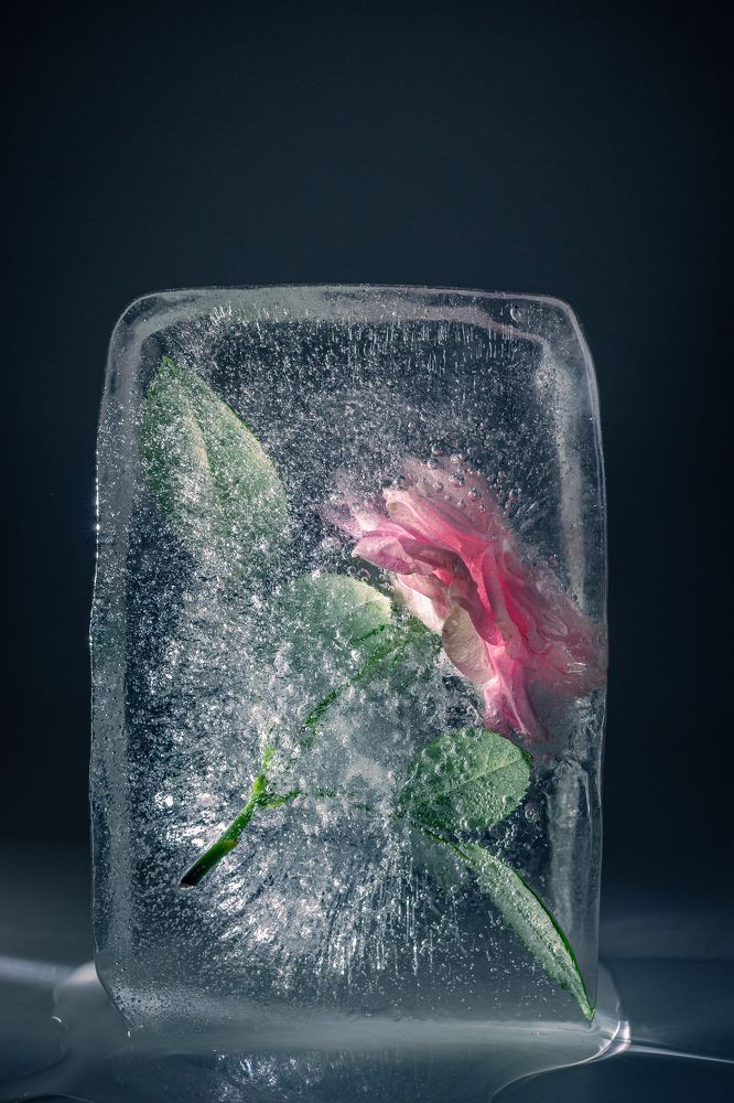 Photograph by Carlos César Lopes Tenório