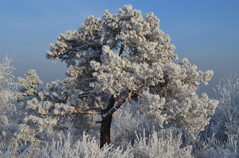 Photograph by Елена Кожевникова