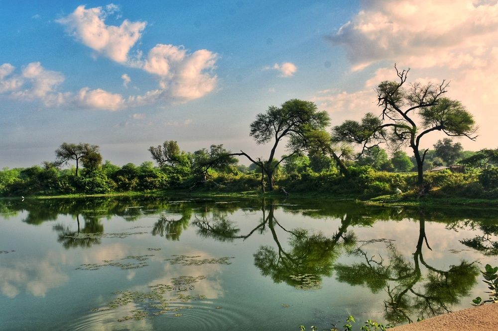 Reflective arcs - Landscape