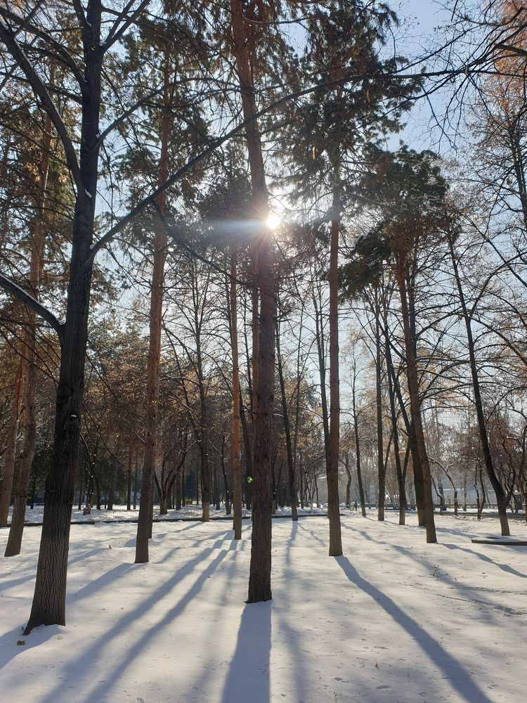 Photograph by Калиева Гайша