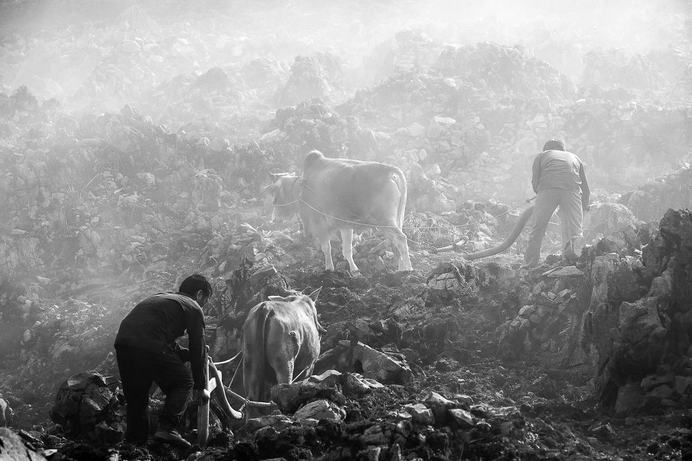 Plowing on the karst plateau