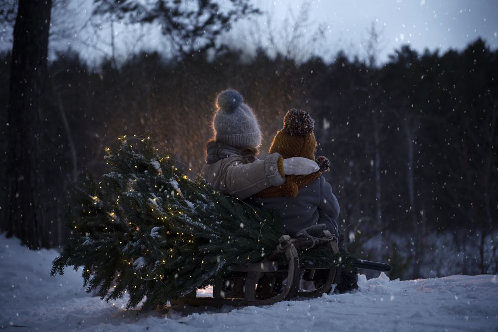 Photograph by Елена Воронина