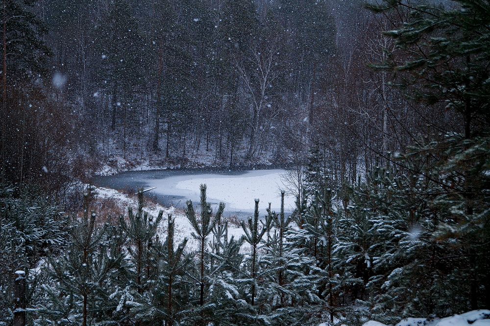 Photograph by Елена Рюмкина