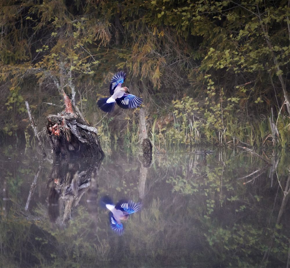 Фотография автора Vyacheslav Lozhkin