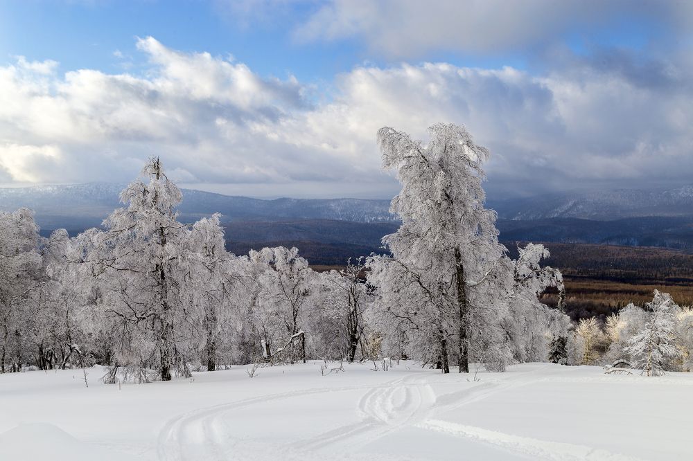 Photograph by Ирина Толокновская