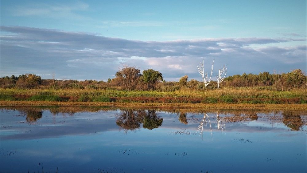 Photograph by Людмила Колеватова